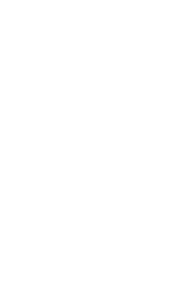 Alma לוגו